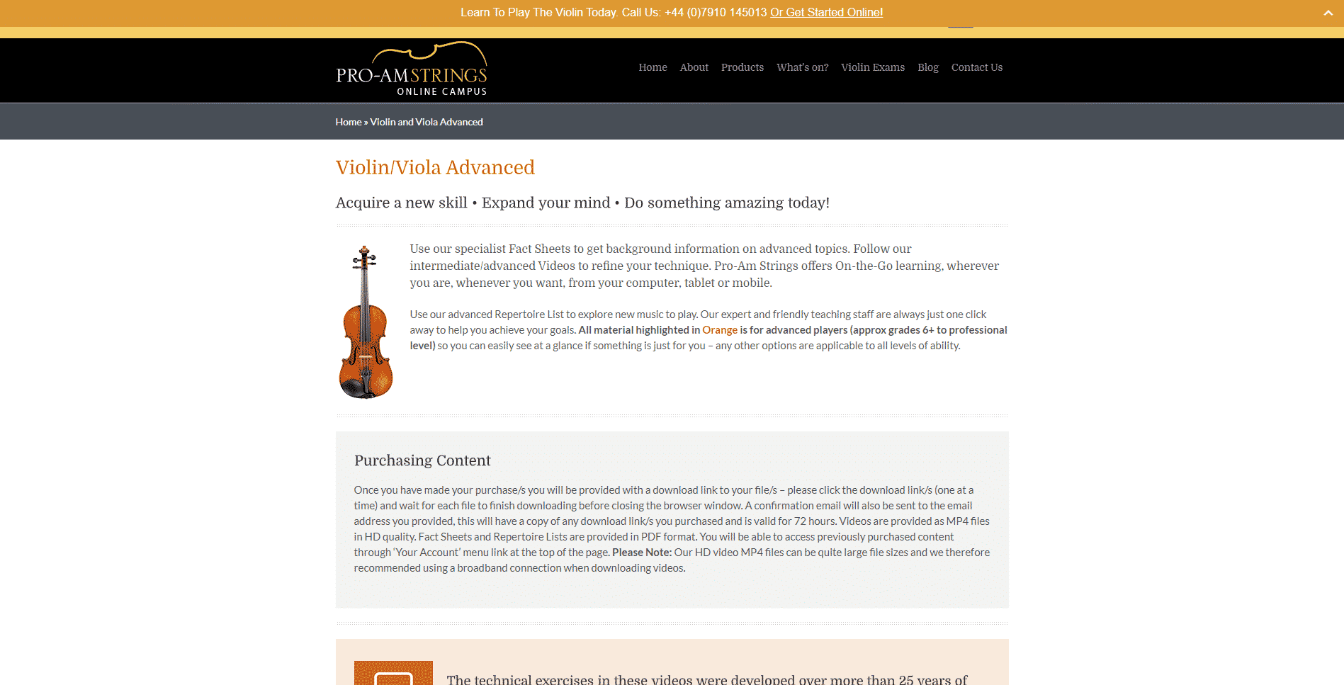 Pro-am Strings Violin Lessons Online