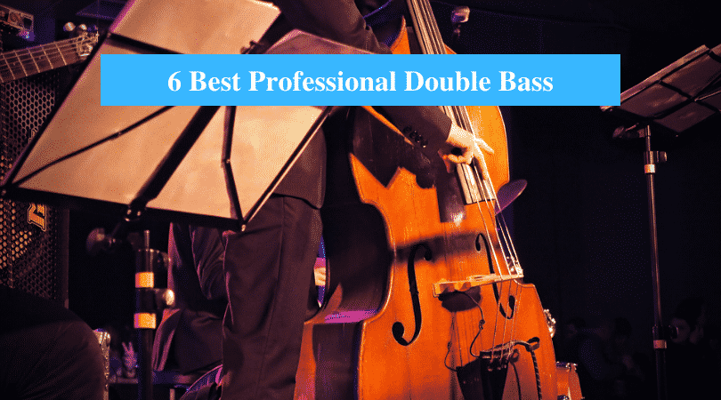 Best Professional Double Bass