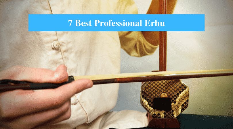 Best Professional Erhu