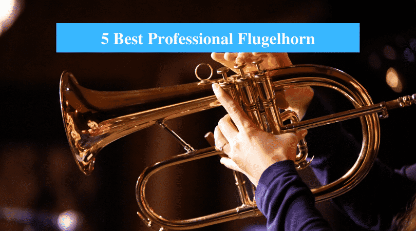 Best Professional Flugelhorn