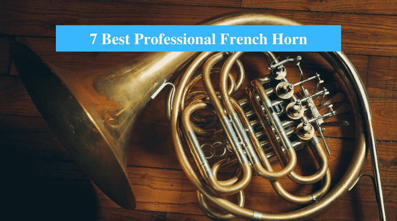 Best Professional French Horn