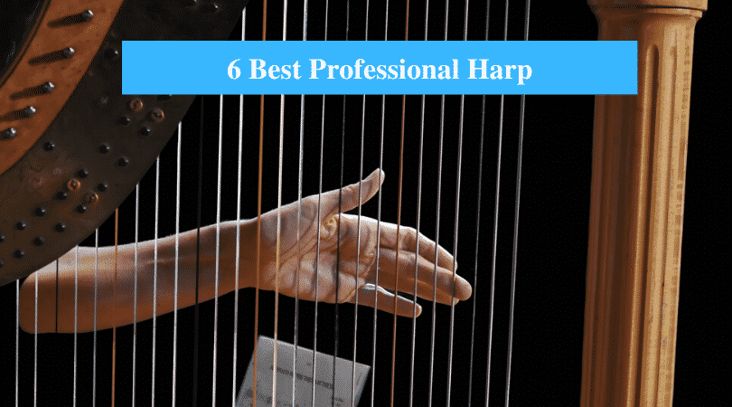 Best Professional Harp