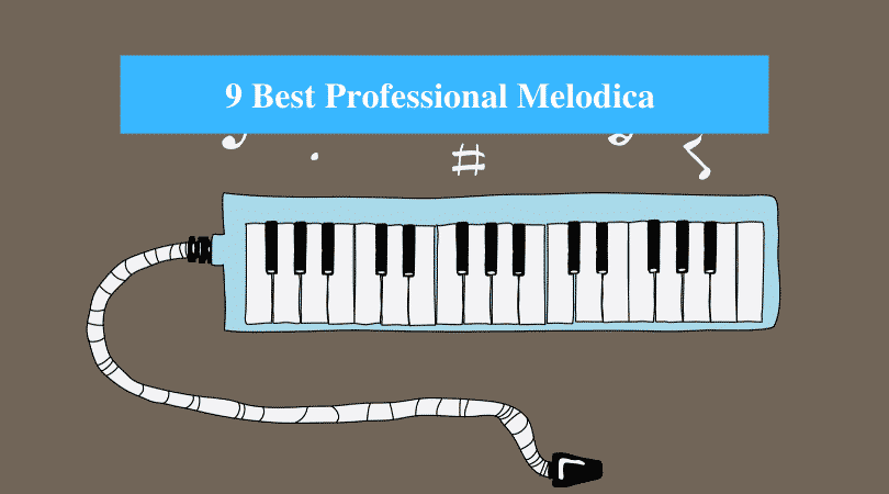 Best Professional Melodica