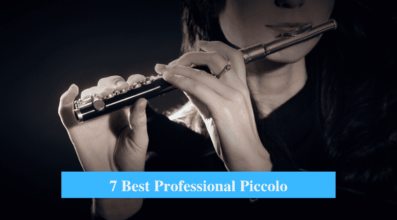 Best Professional Piccolo