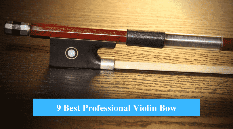 Best Professional Violin Bow