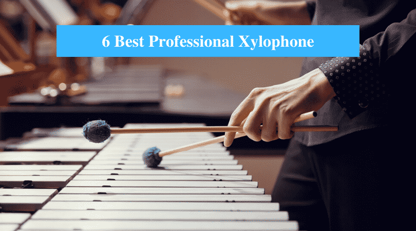 Best Professional Xylophone