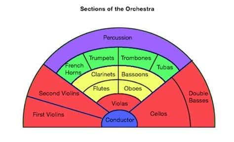 The Lowest Instrument In The Orchestra - CMUSE