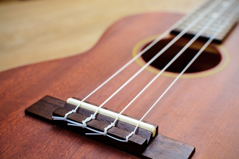 A ukulele