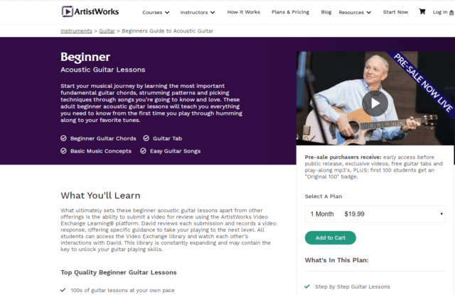 ArtistWork Learn Acoustic Guitar Lessons Online