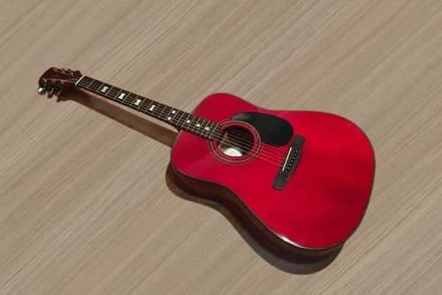 Canvas Acoustic Guitar