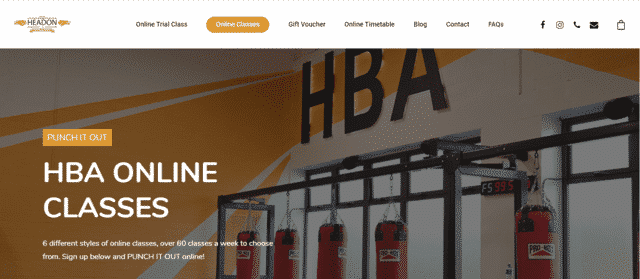 HeadOnBoxing Learn Boxing Lessons Online
