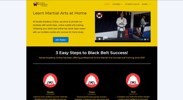 Karateacademyonline Learn Karate Lessons Online