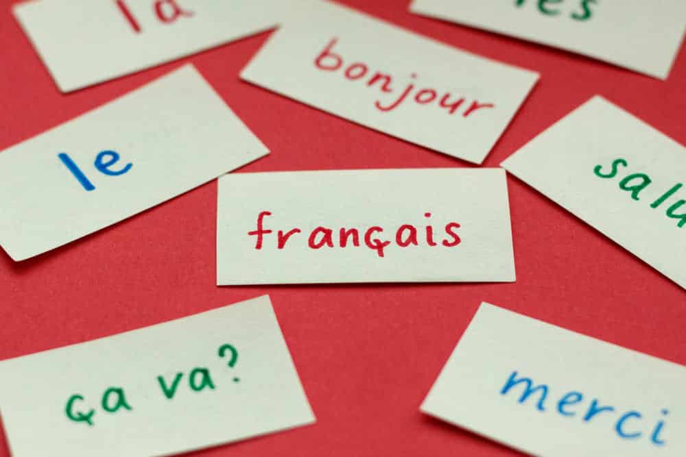 15 Websites to Learn French Lessons Online (Free and Paid) - CMUSE