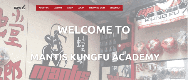 LearnKungFuOnline Learn Kung Fu Lessons Online