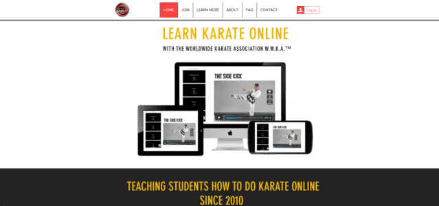 Online Karate Learn Karate Lessons Online