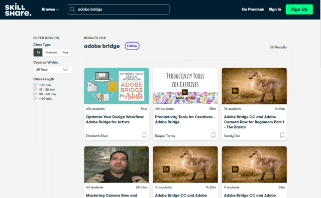 SkillShare Learn Adobe Bridge Lessons Online