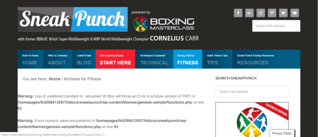 SneakPunch Learn Boxing Lessons Online