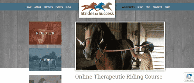 SridesToSuccess Learn Horse Riding Lessons Online