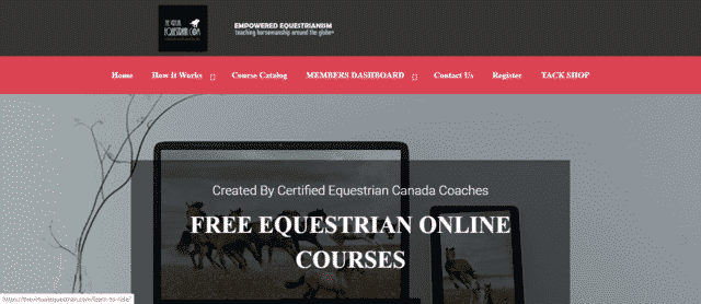 TheVirtualEquestrian Learn Horse Riding Lessons Online