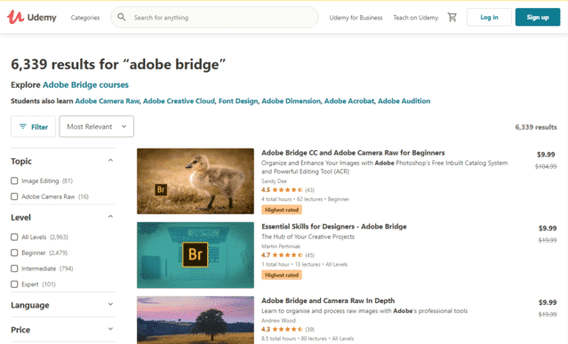 Udemy Learn Adobe Bridge Lessons Online