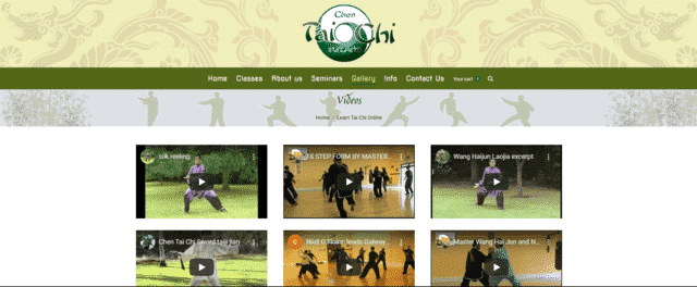 chentaichiireland learn tai chi lessons online