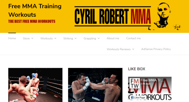 freemmatrainingworkouts learn mma lessons online