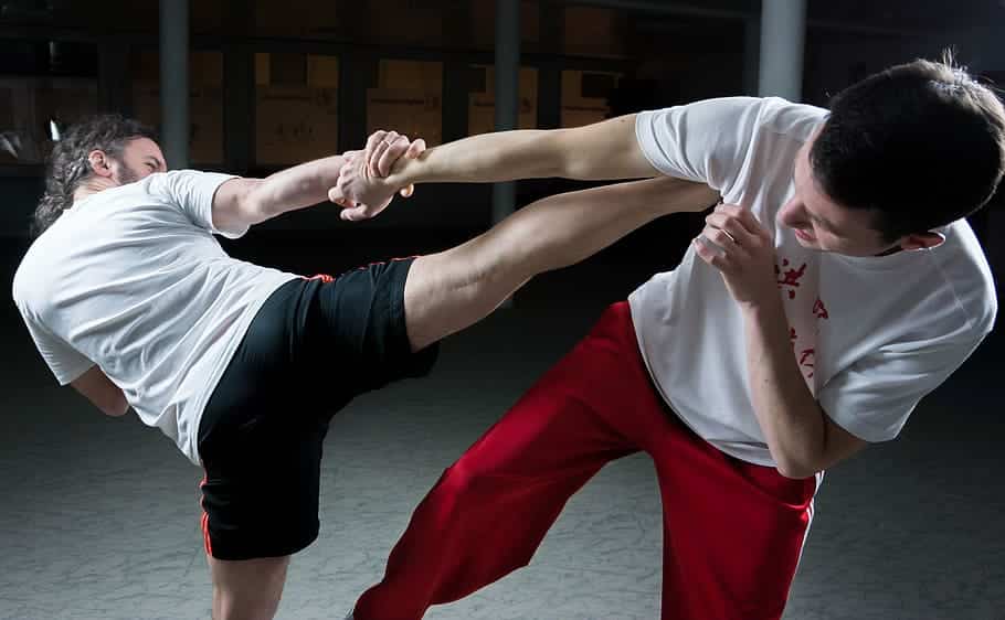 learn martial arts lessons online