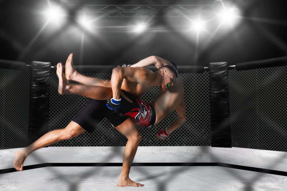 learn mma lessons online