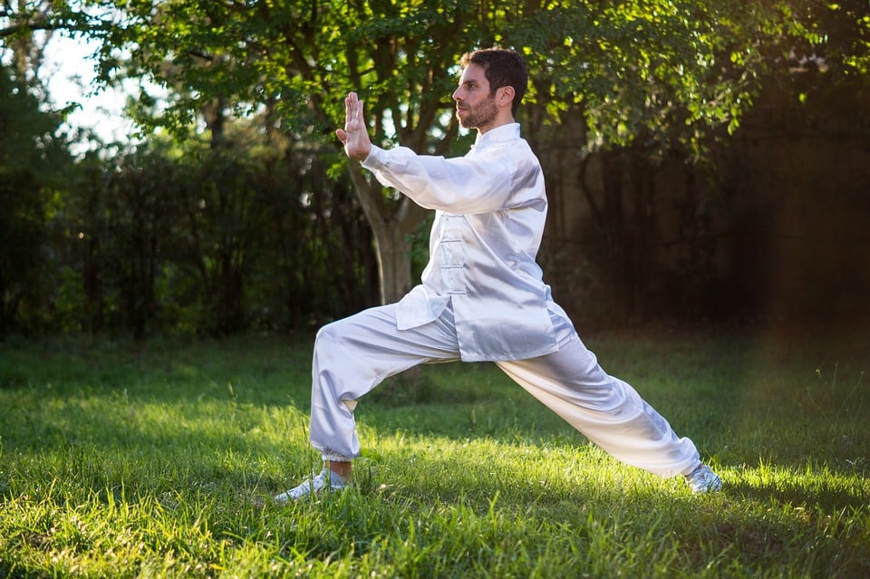 learn tai chi lessons online