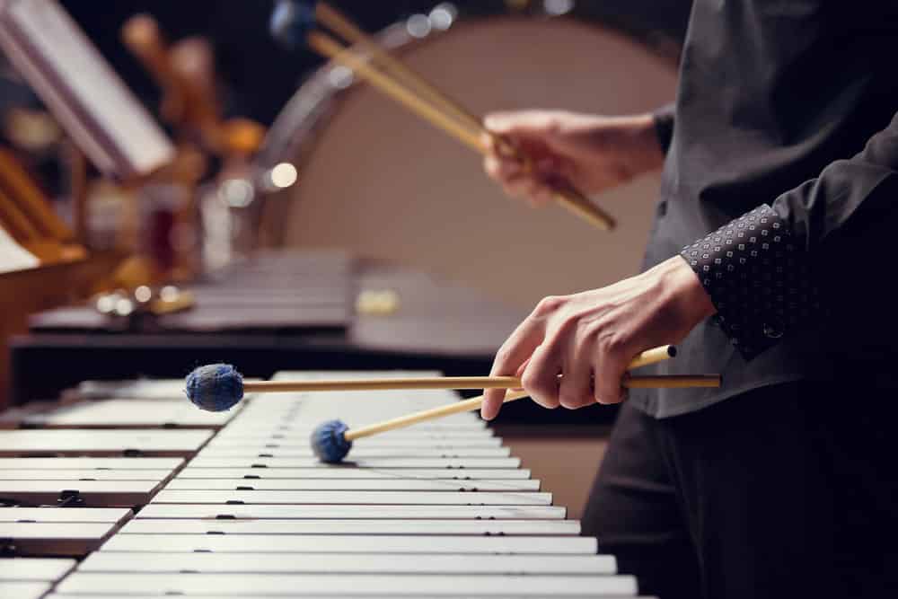 learn xylophone lessons online