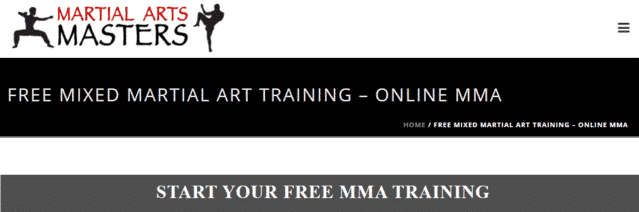 martialartsmasters learn mma lessons online