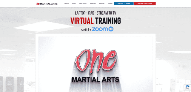 onemartialarts learn martial arts lessons online