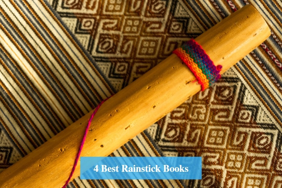 Best Rainstick Book