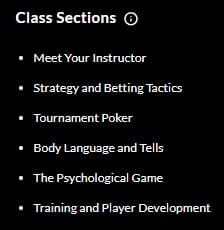 MasterClass Daniel Negreanu Class Sections