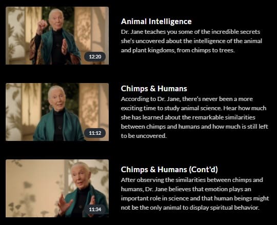 MasterClass Dr. Jane Goodall Chimpanzee Behavior and Animal Intelligence 2