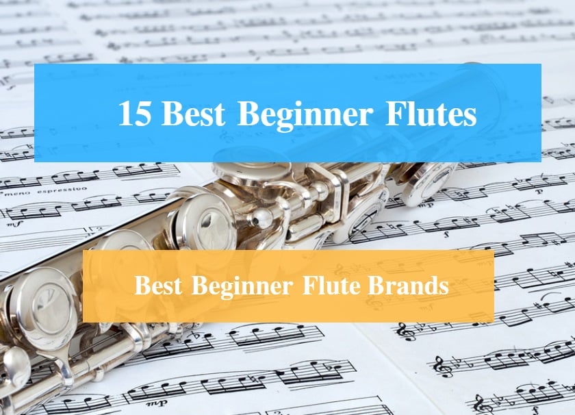 Best Beginner Flute