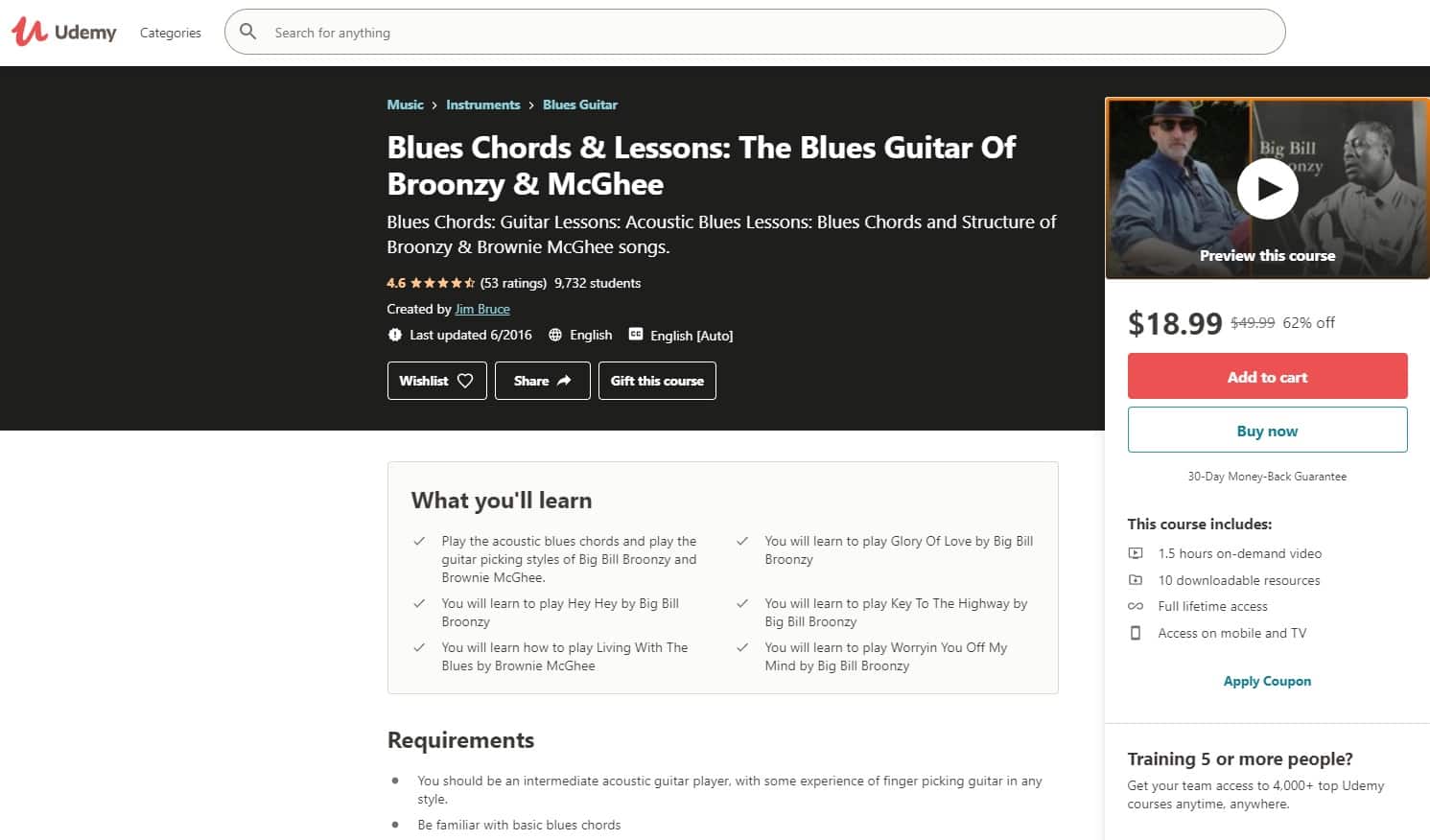 Udemy 7 Blues Guitar Lessons for Beginners