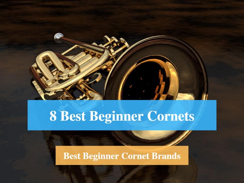 Best Beginner Cornet