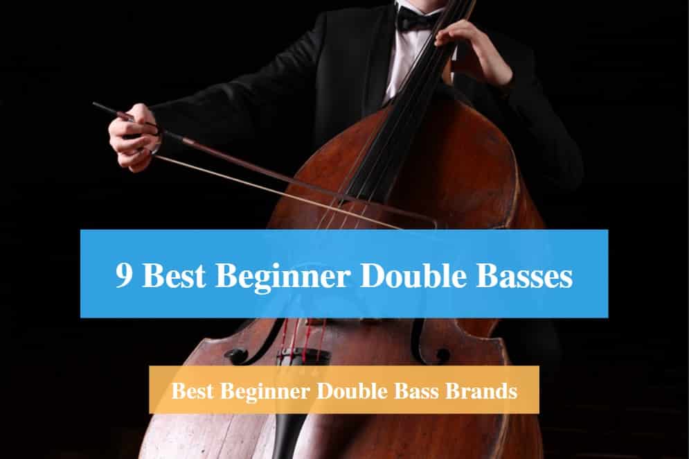 Best Beginner Double Bass