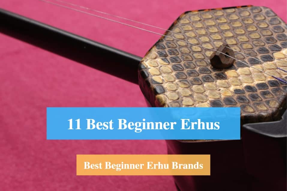 Best Beginner Erhu