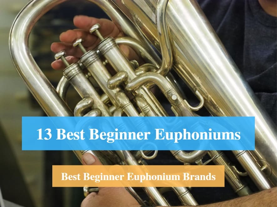 Best Beginner Euphonium