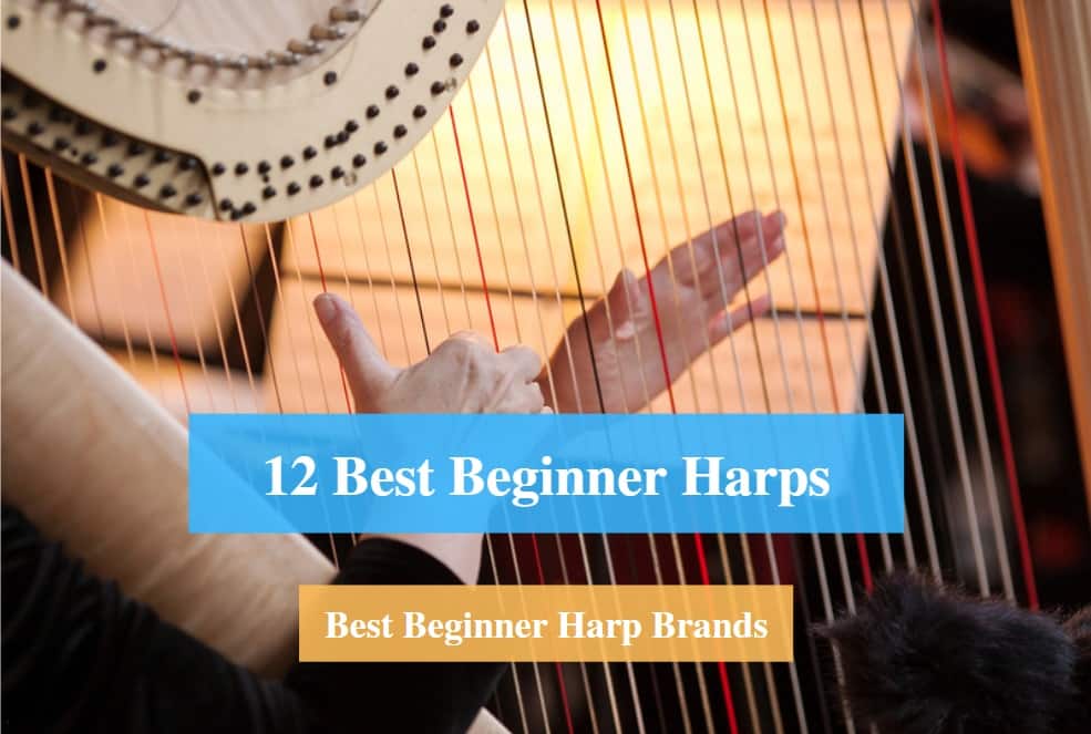 Best Beginner Harp