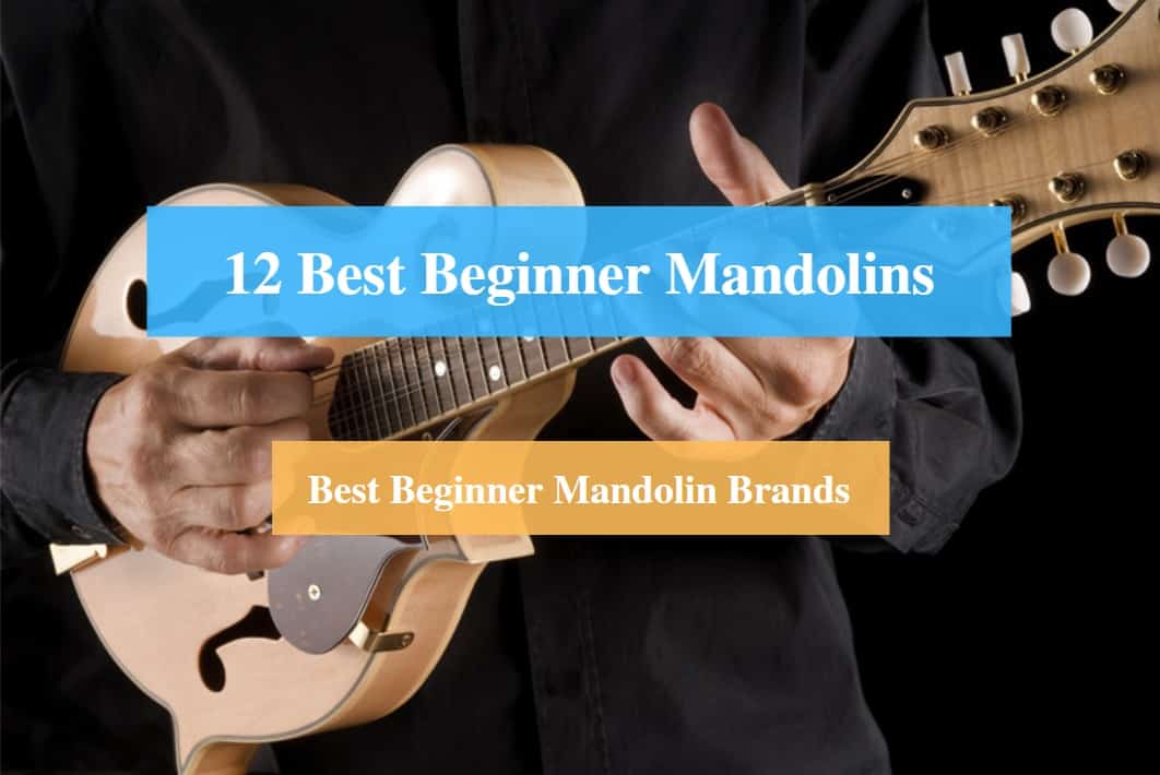 Best Beginner Mandolin