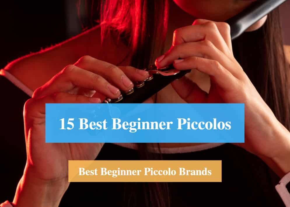 Best Beginner Piccolo