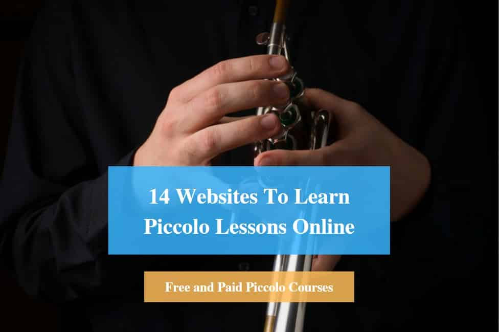Learn Piccolo Lessons Online