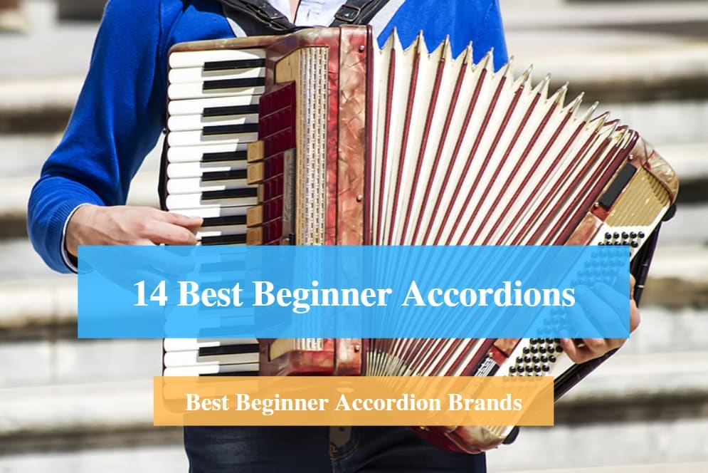 14 Best Beginner Accordion Reviews 2022 - Accordion For Beginners - CMUSE