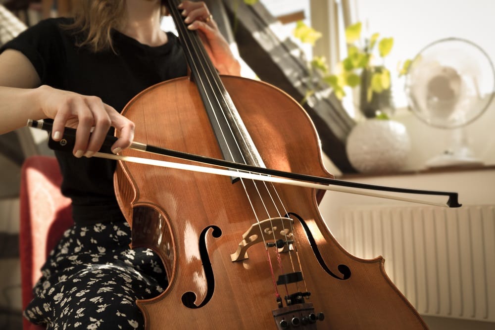 How Much Do Cello Lessons Cost