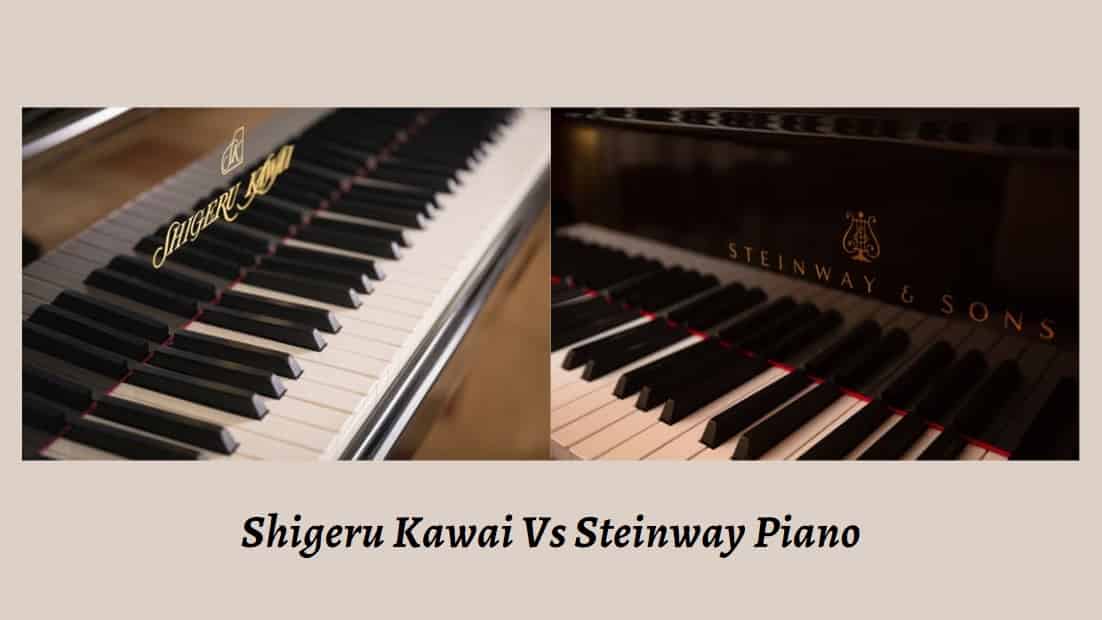 Shigeru Kawai Vs Steinway Piano