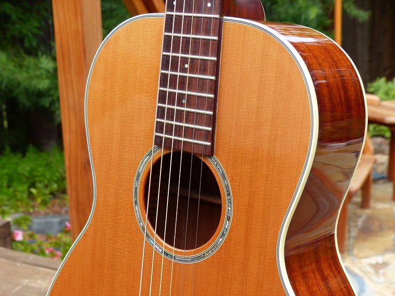 Cedar top guitar