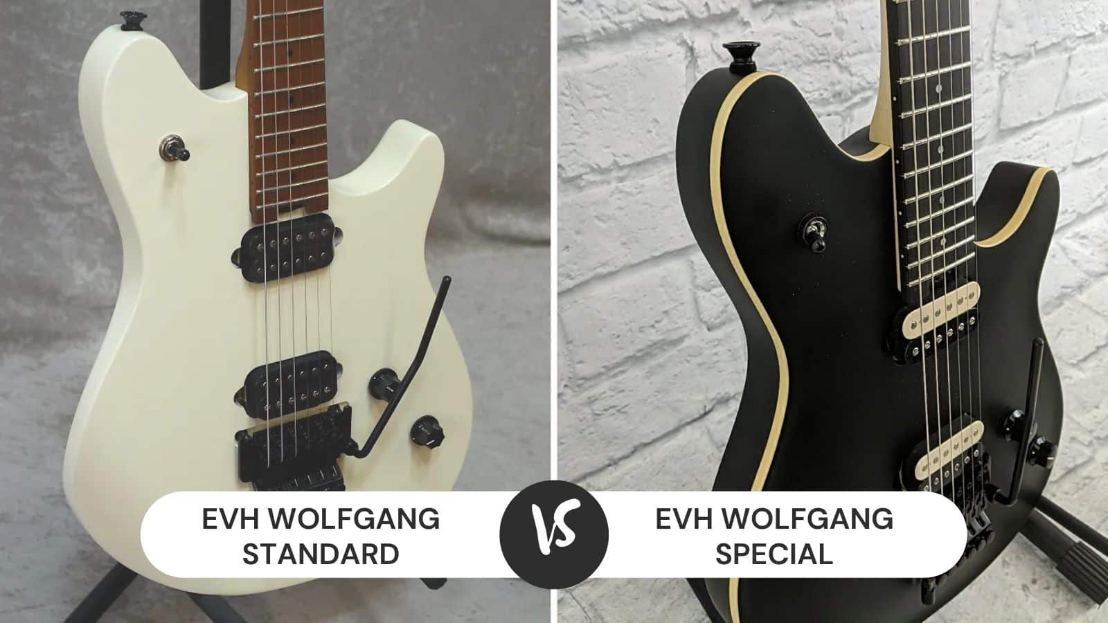 EVH Wolfgang Standard vs Special